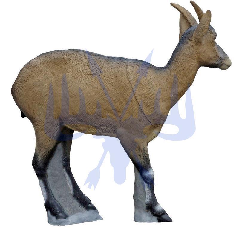 SRT Steinbock weiblich