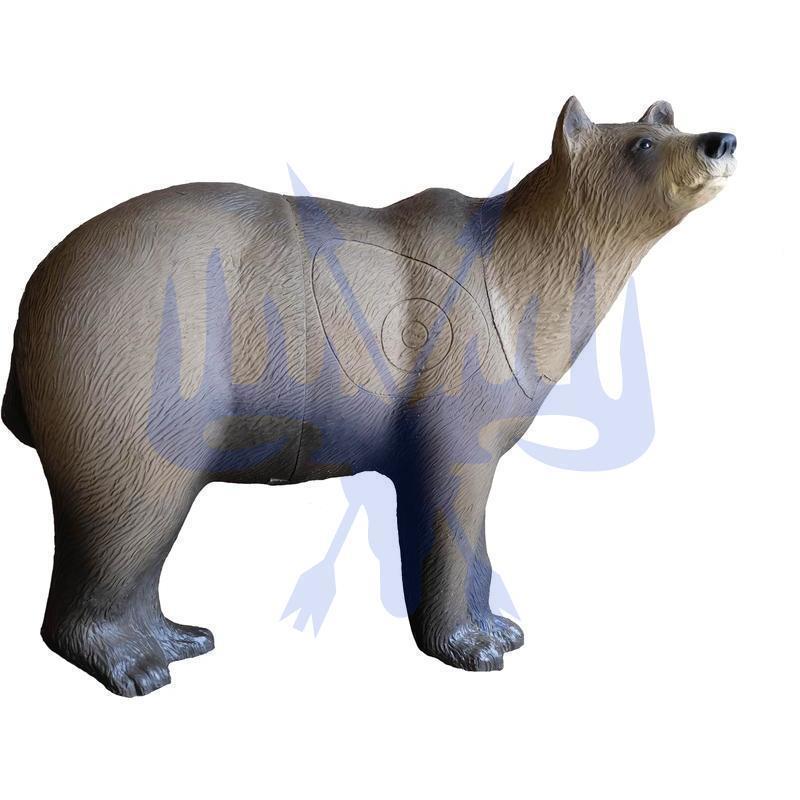 SRT Braunbär Marsicano