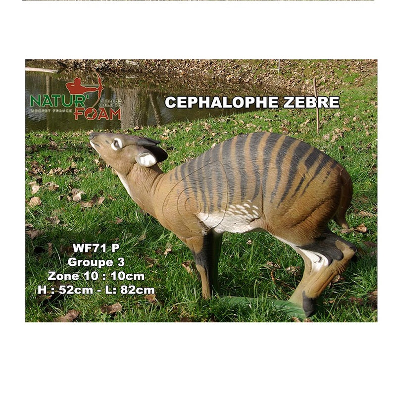 Natur Foam Zebra Ducker