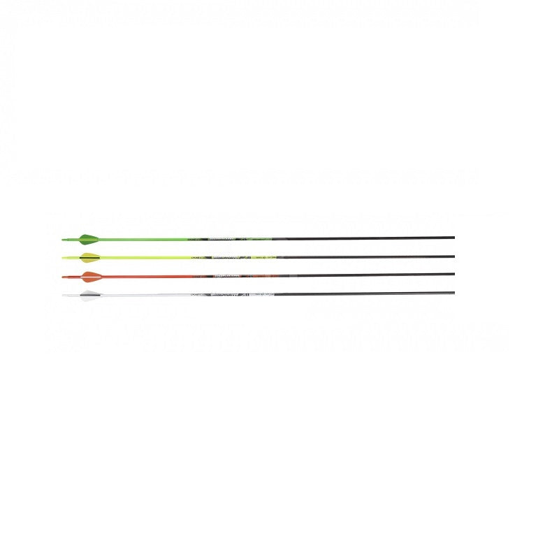CrossX Carbonpfeil Iridium .006 Kunststoffvane Spine 1100 12erPck