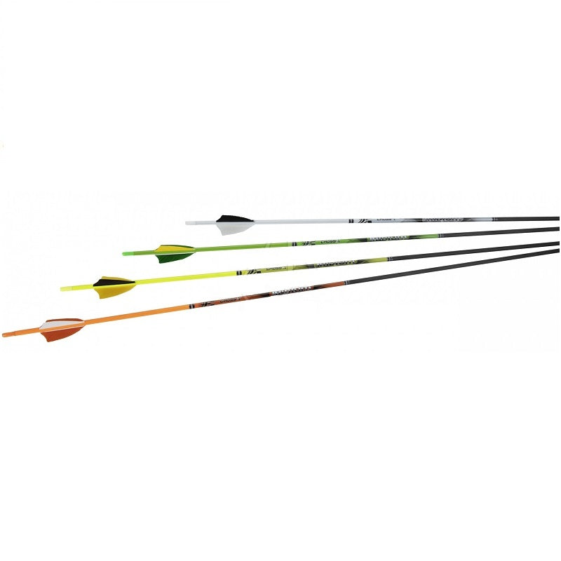 CrossX Carbonpfeil Iridium .006 Naturfedern Spine 1100