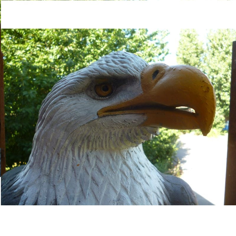 Natur Foam Weißkopf - Seeadler