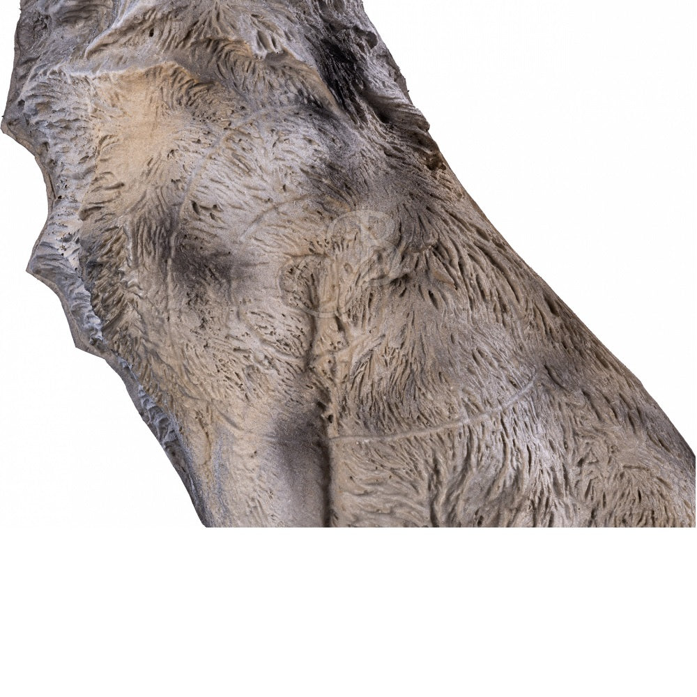 Booster 3D Target Wolf