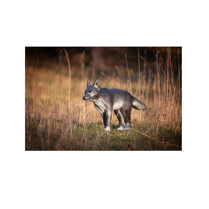 Center Point kleiner Wolf