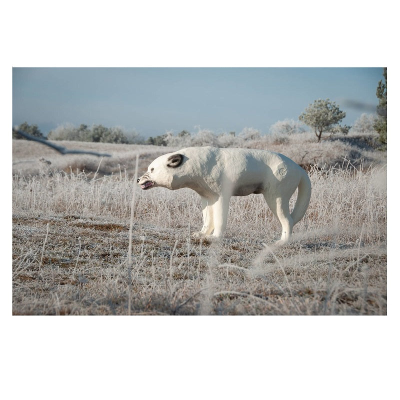 Center Point Polarwolf