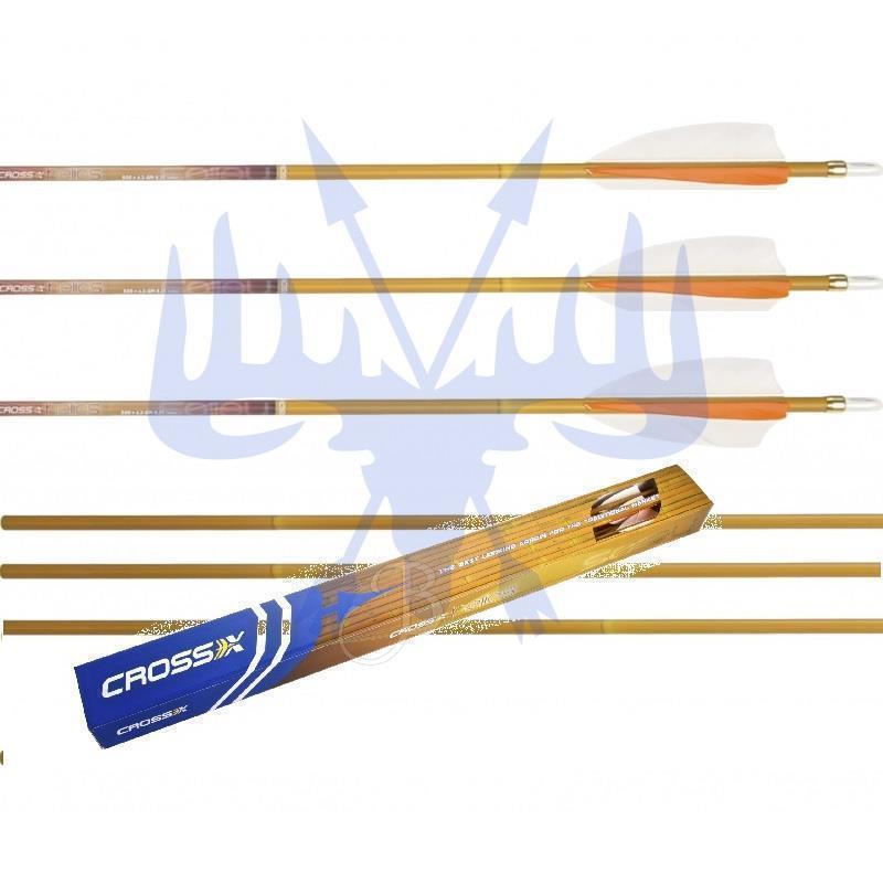 CrossX Carbonpfeil Helios