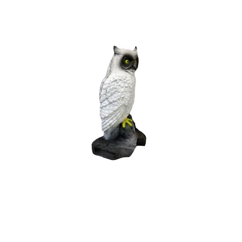Leitold Schneeeule