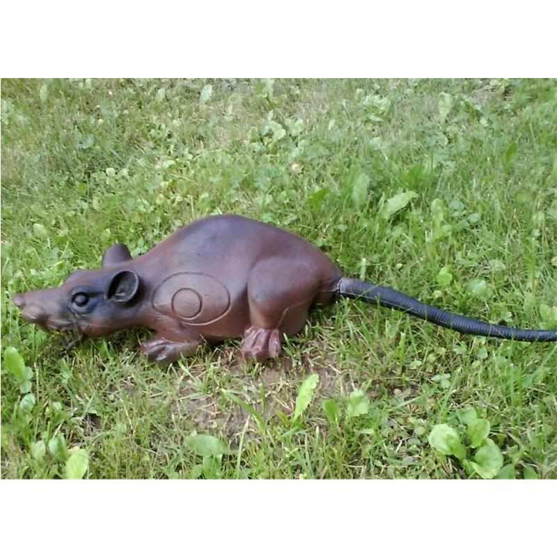 Center Point Ratte