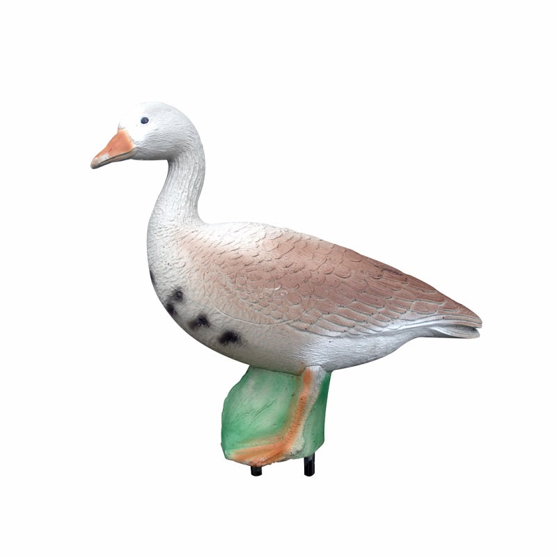 Eleven Ente