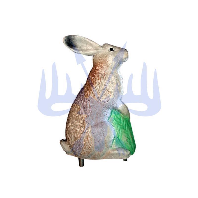 Eleven Hase