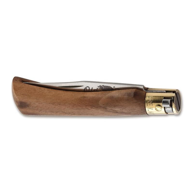 Antonini Old Bear Walnuss M