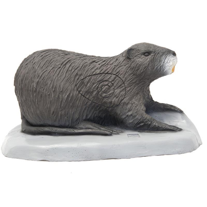 SRT Biberratte Nutria