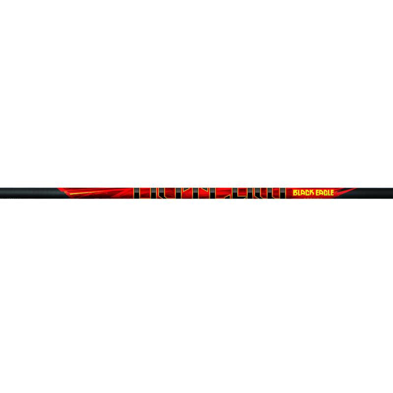 Black Eagle Carbonpfeil Outlaw Vanes ohne Cresting 6erPck