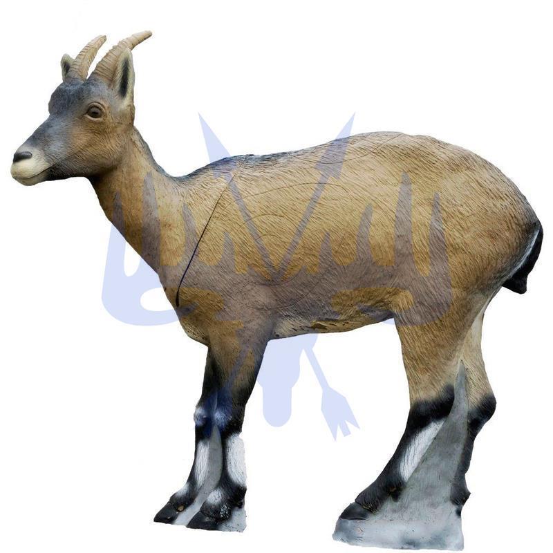 SRT Steinbock weiblich