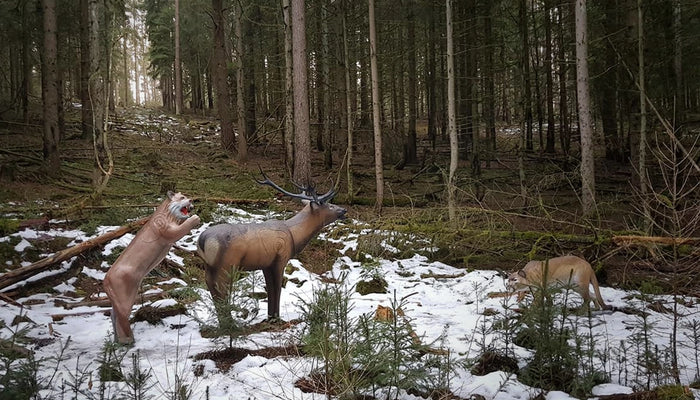 3D Parcours Bogenland im Thüringer Wald