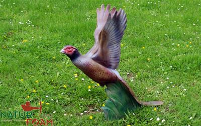 Natur Foam Fasan aufsteigend