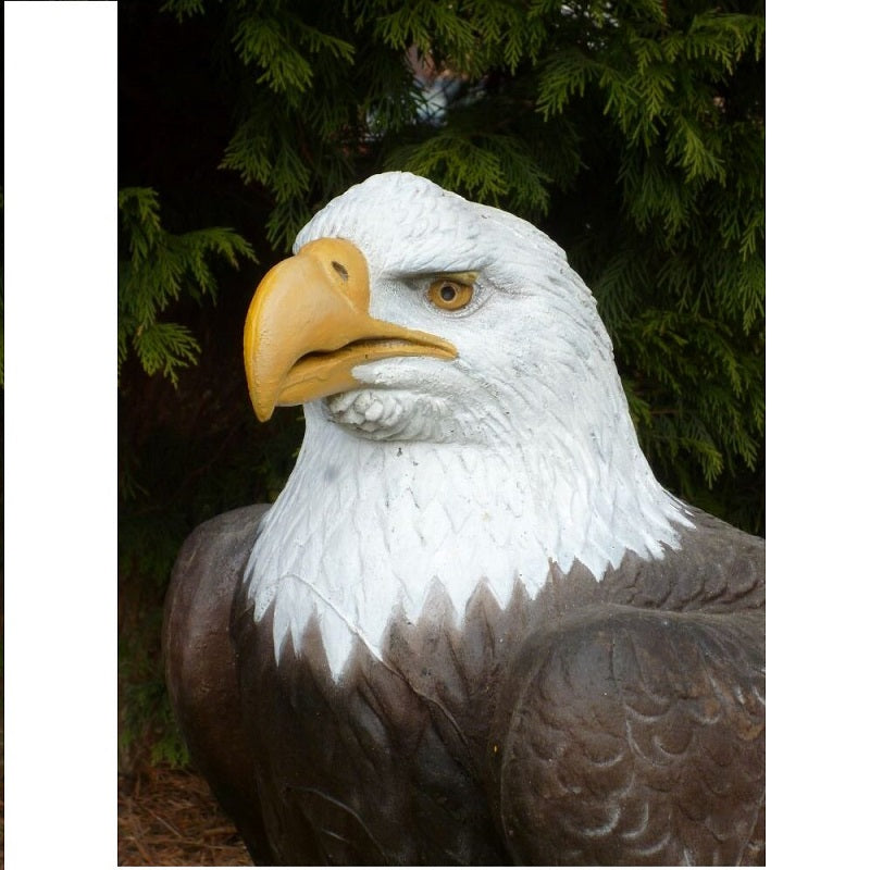 Natur Foam Weißkopf - Seeadler