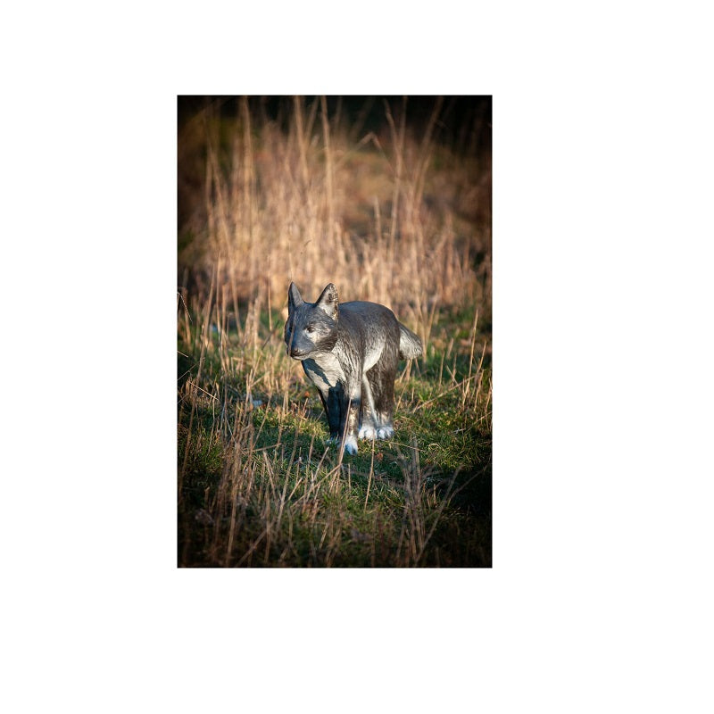 Center Point kleiner Wolf
