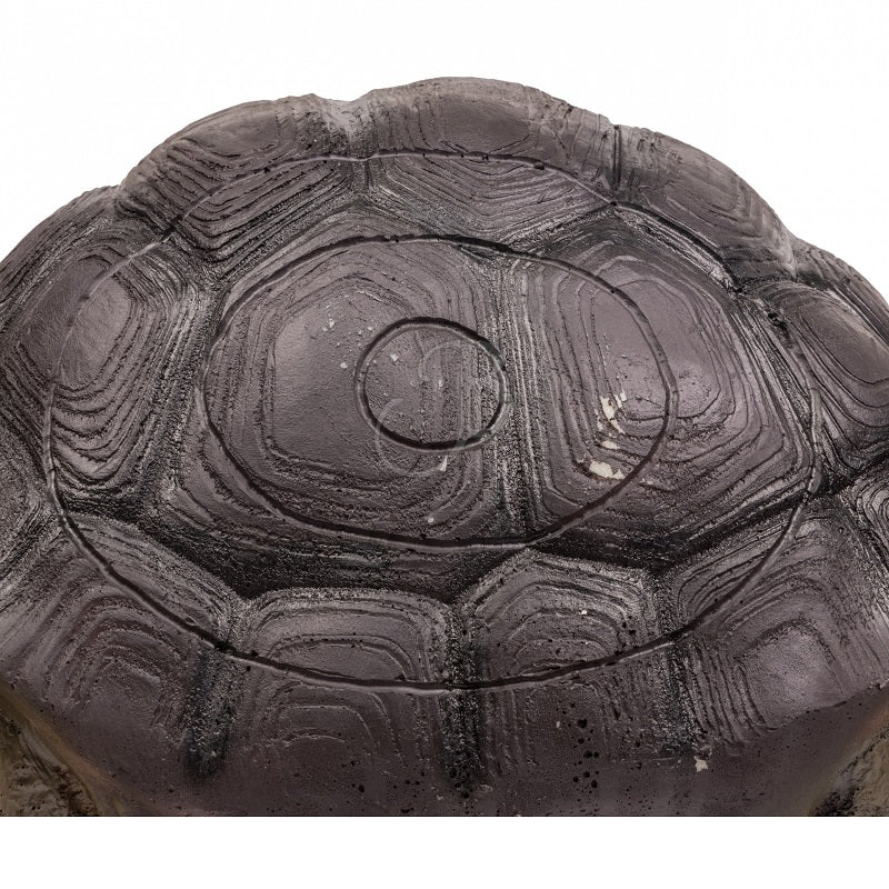 Booster 3D Tier Schildkröte