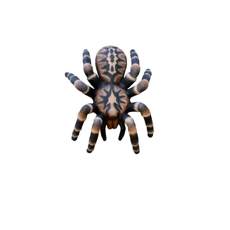 Leitold Vogelspinne groß