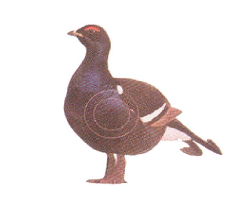 Scheibenauflage NT Birkwild