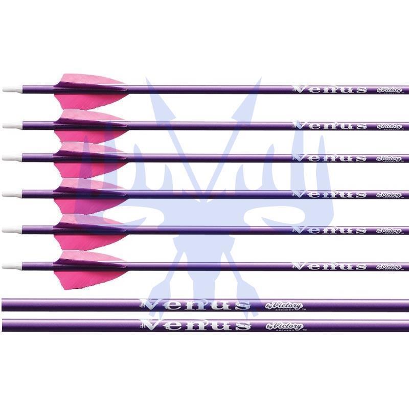 Victory Carbonpfeil Venus 6erPck